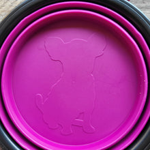 Load image into Gallery viewer, Cool Dog Water Bottle with Treat Compartment and Collapsible Water Dish