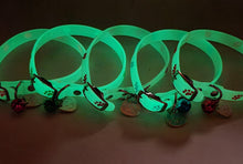 Load image into Gallery viewer, Glow in the Dark Collar for Cats and Dogs