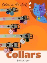Load image into Gallery viewer, Glow in the Dark Collar for Cats and Dogs