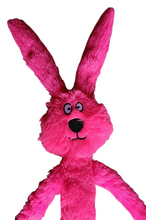 Load image into Gallery viewer, Plush Animal With Long Limbs Dog Toy