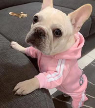 Load image into Gallery viewer, Adidog Sweatshirt Jogger Hoodie Dog Cat Pet Warm Winter Apparel Outfit