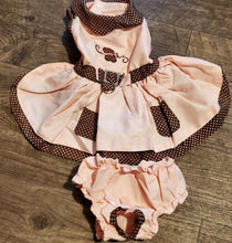 Load image into Gallery viewer, Pink and Brown Southern Belle Butterfly Dress Outfit Dog Cat Pet