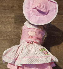 Load image into Gallery viewer, Pink and White Polka Dot Southern Belle Frog Dress Outfit Dog Cat Pet