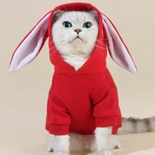 Load image into Gallery viewer, Bunny Costume Hooded Sweatshirt for Dogs & Cats Pet Hoodie