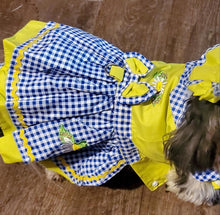 Load image into Gallery viewer, Blue and Yellow Southern Belle Dress Outfit with matching Leash Dog Cat Pet
