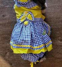 Load image into Gallery viewer, Blue and Yellow Southern Belle Dress Outfit with matching Leash Dog Cat Pet
