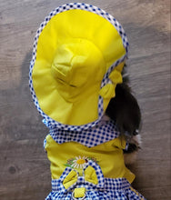 Load image into Gallery viewer, Southern Belle Dress, Bonnet Hat, Bloomers and matching leash adorned with a bow for your dog or cat.
