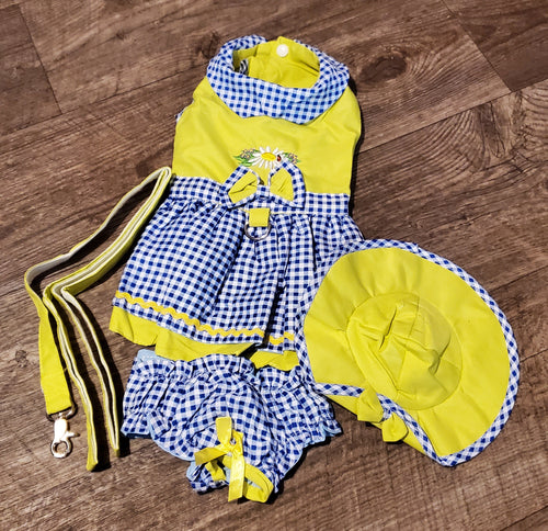 Southern Belle Dress, Bonnet Hat, Bloomers and matching leash adorned with a bow for your dog or cat.