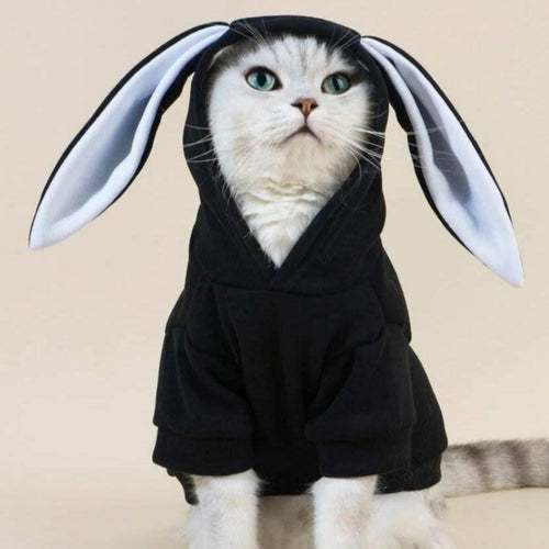 Bunny Costume, Dog Outfit, Cat Outfit